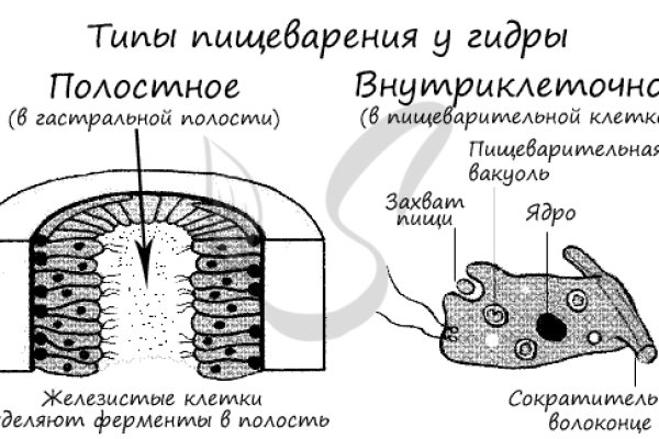 Kra42.cc Вход на сайт главная страница