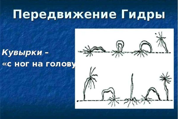 Кракен почему пользователь не найден