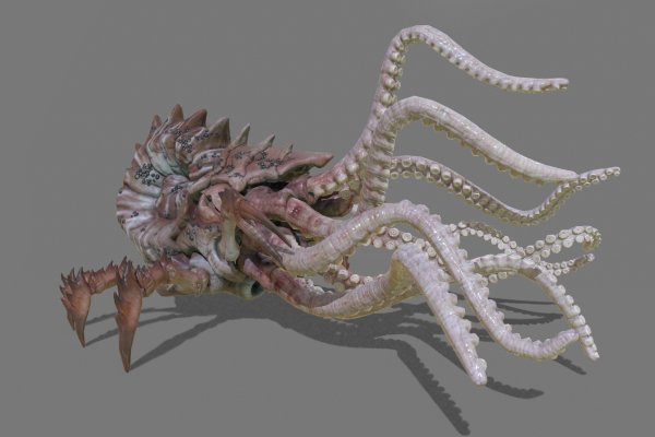 Официальный сайт kraken ссылки зеркала