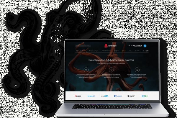 Kraken 24 top