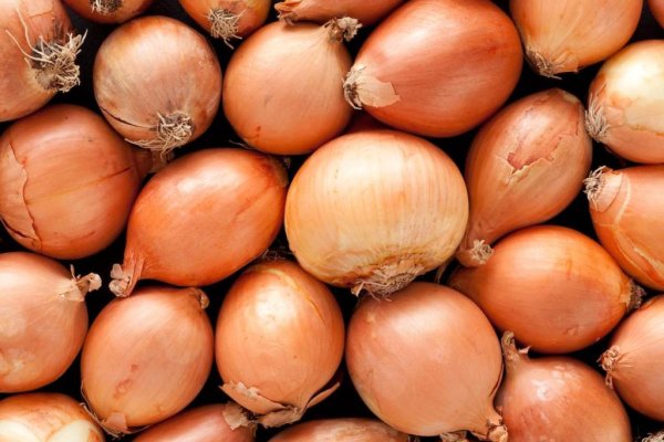 Kraken ссылка onion 2kmp