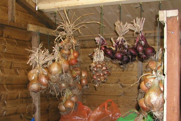 Ссылка на кракен онион