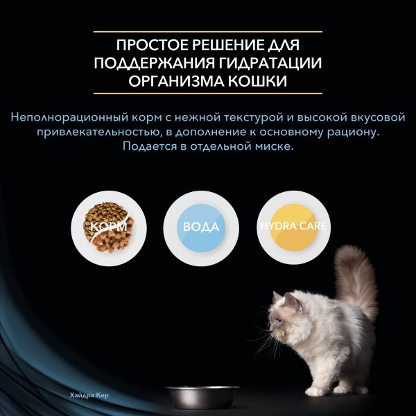 Solaris даркнет