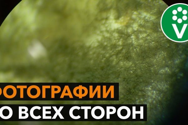 Что за кракен маркет