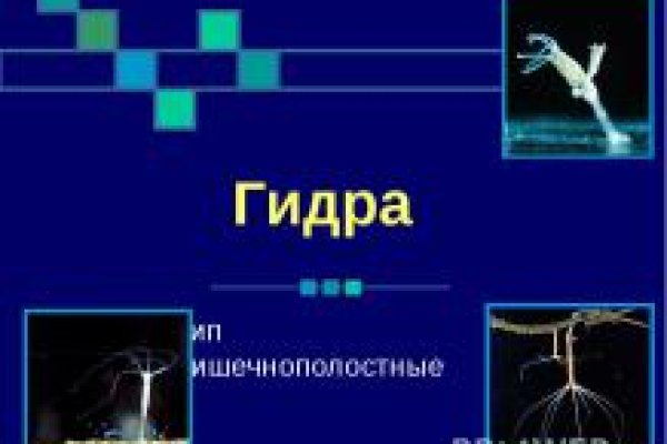 Kra40.cc Вход на сайт главная страница